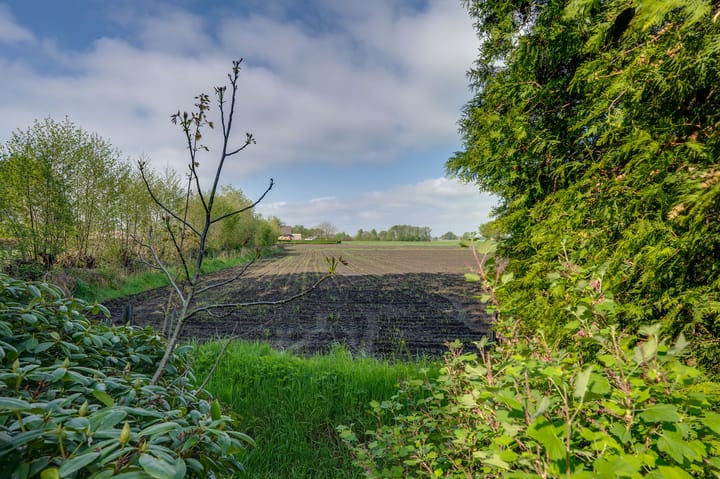 Foto 63 van Berkenring 70