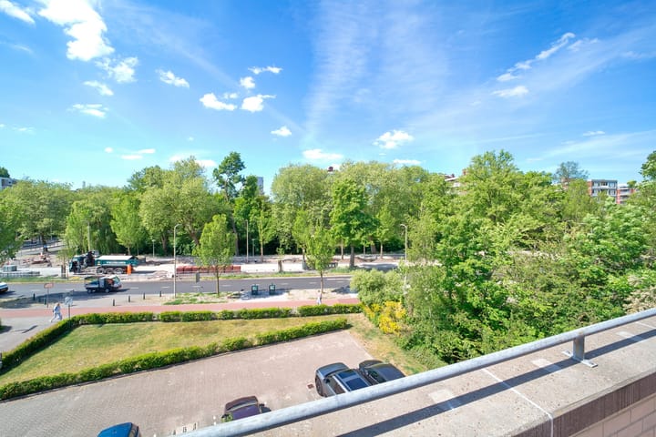 Photo 25 of Ir. van der Sluijsplantsoen 47