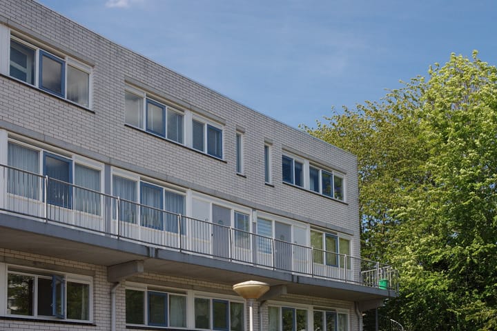 Photo 31 of Ir. van der Sluijsplantsoen 47