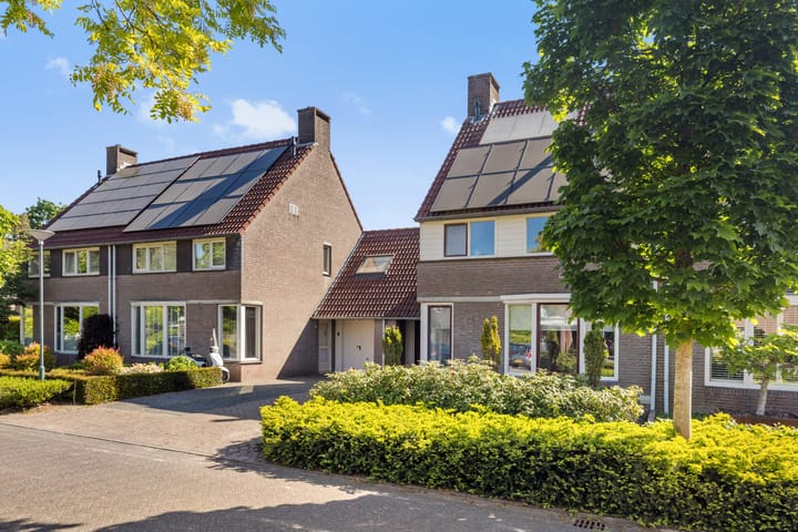 Foto 6 van De Hasselt 5