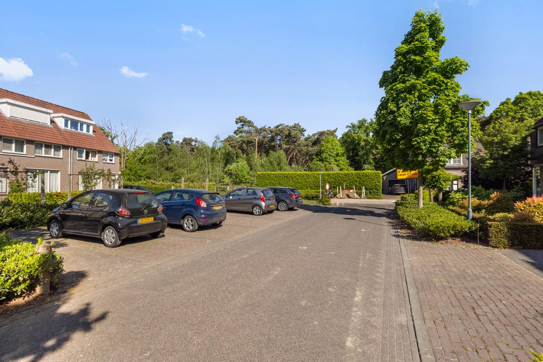 Foto 7 van De Hasselt 5