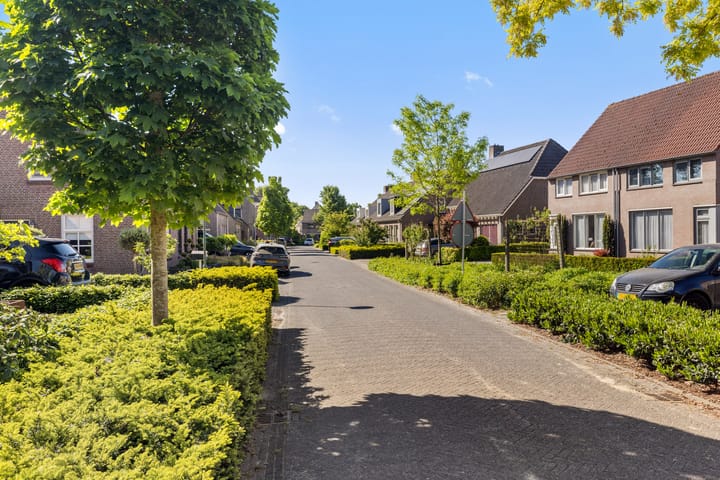 Foto 8 van De Hasselt 5