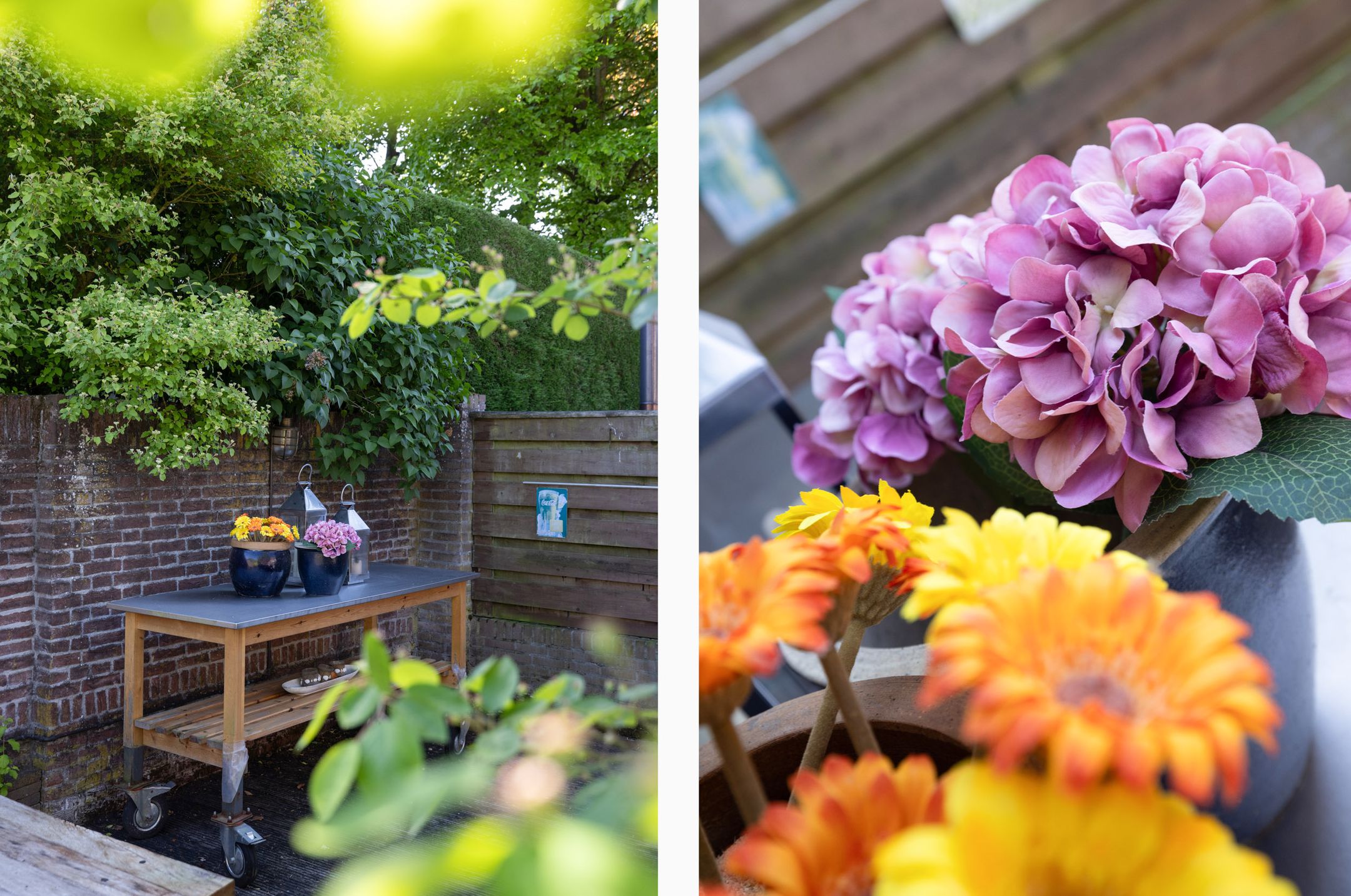 Foto 33 van De Hasselt 5