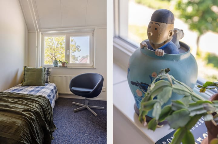 Foto 42 van De Hasselt 5