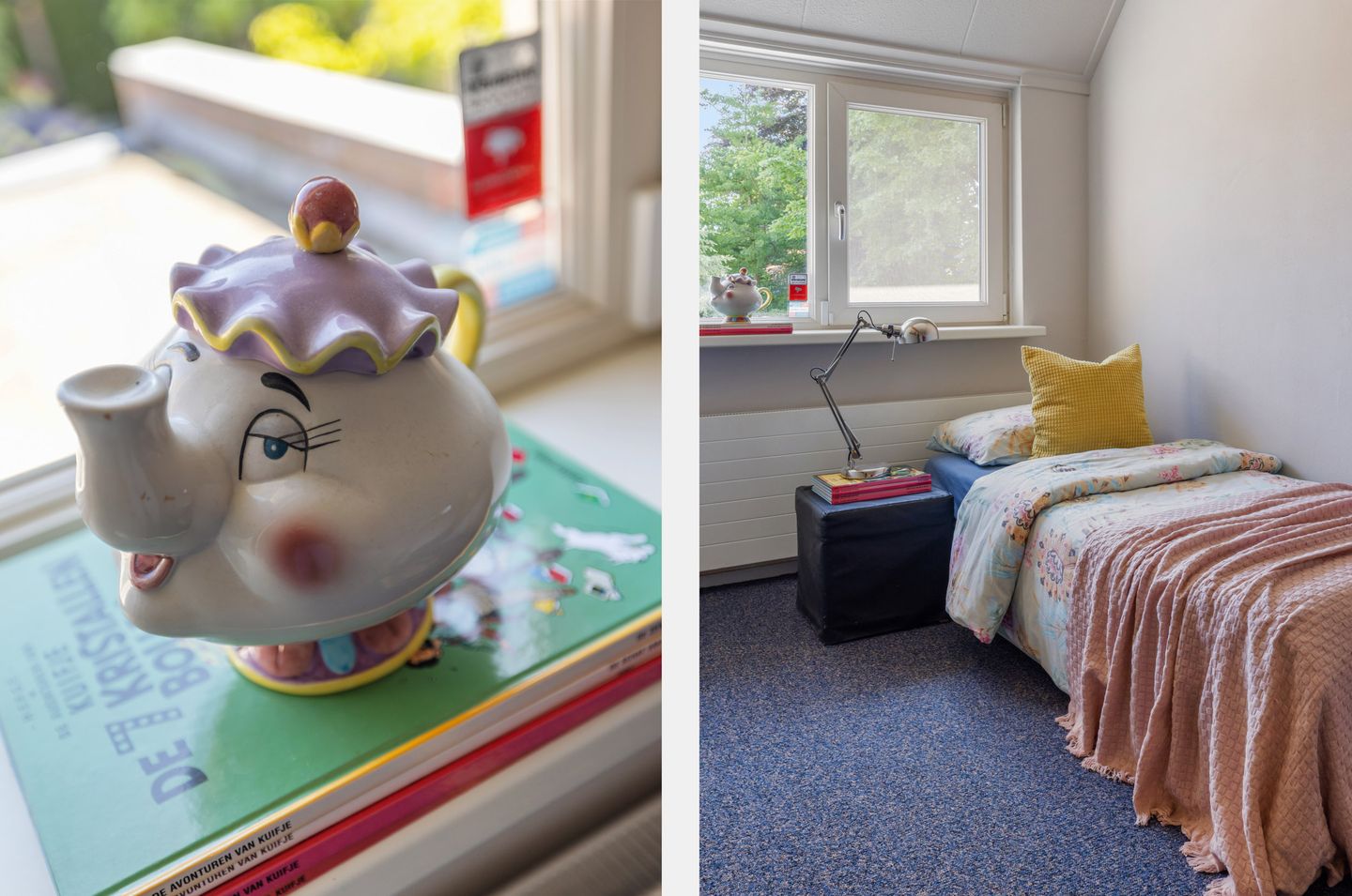 Foto 44 van De Hasselt 5