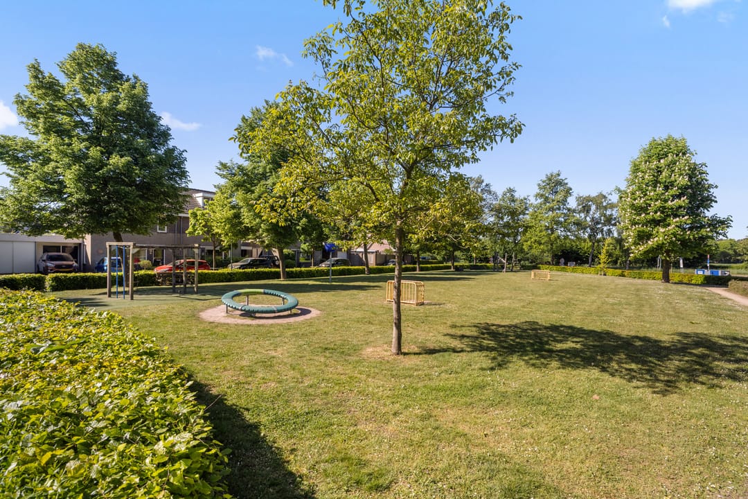 Foto 52 van De Hasselt 5