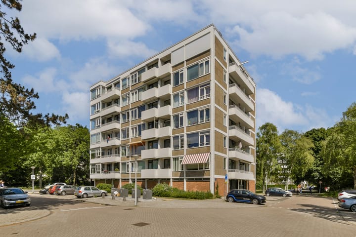 Foto 17 van Van Boshuizenstraat 349