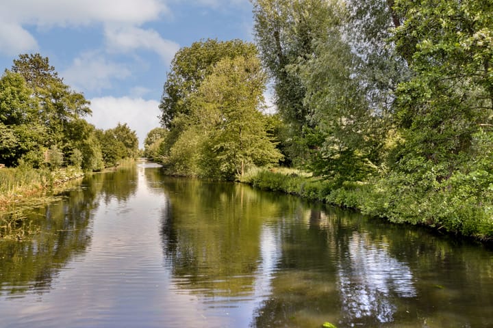 Foto 21 van Van Boshuizenstraat 349