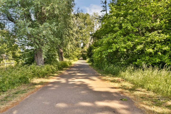 Foto 22 van Van Boshuizenstraat 349