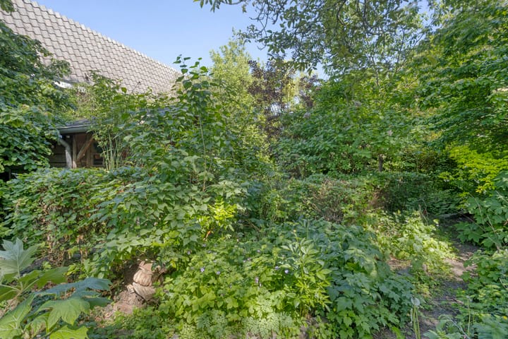 Photo 41 of Oranjestraat 68