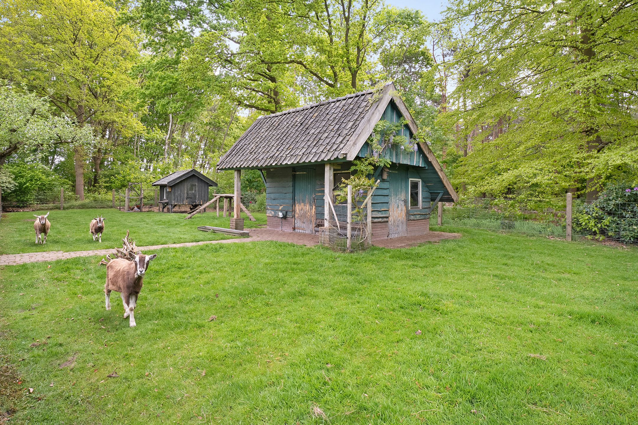 Foto 42 van Wethouder M. van Doorninckweg 21