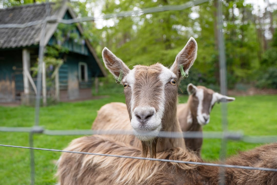 Foto 43 van Wethouder M. van Doorninckweg 21