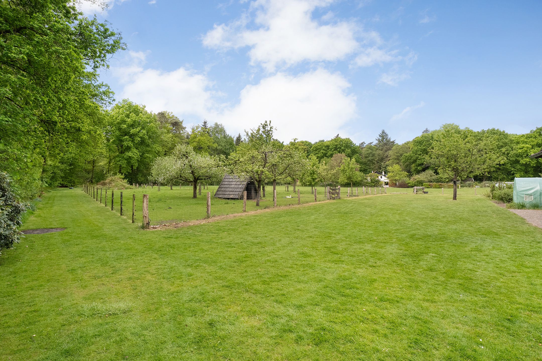 Foto 48 van Wethouder M. van Doorninckweg 21