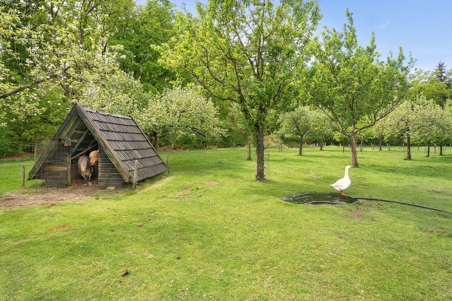 Foto 50 van Wethouder M. van Doorninckweg 21