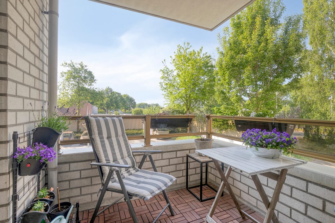 Foto 8 van Broekmorgen 95