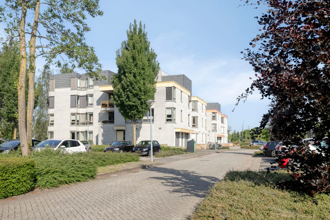 Foto 31 van Broekmorgen 95