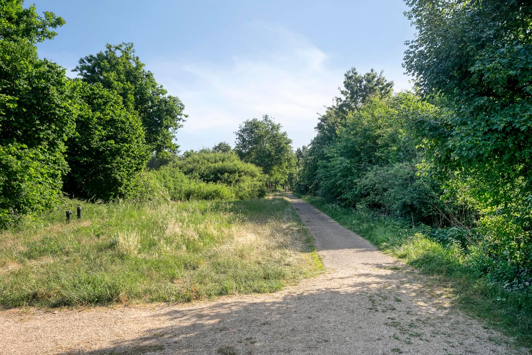 Foto 32 van Broekmorgen 95