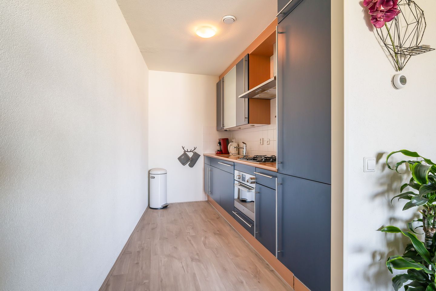 Foto 10 van Gouden Rijderplein 45