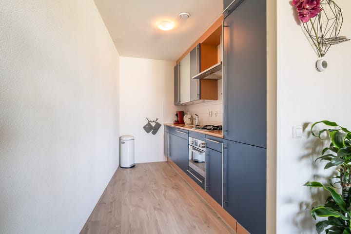 Foto 10 van Gouden Rijderplein 45