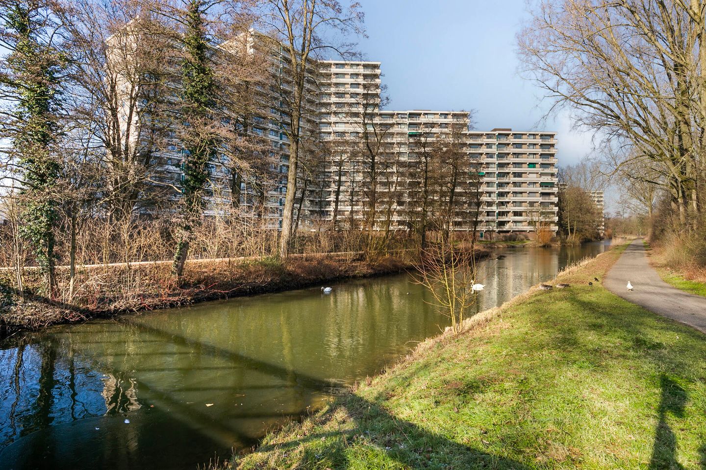 Groningensingel 861 main image