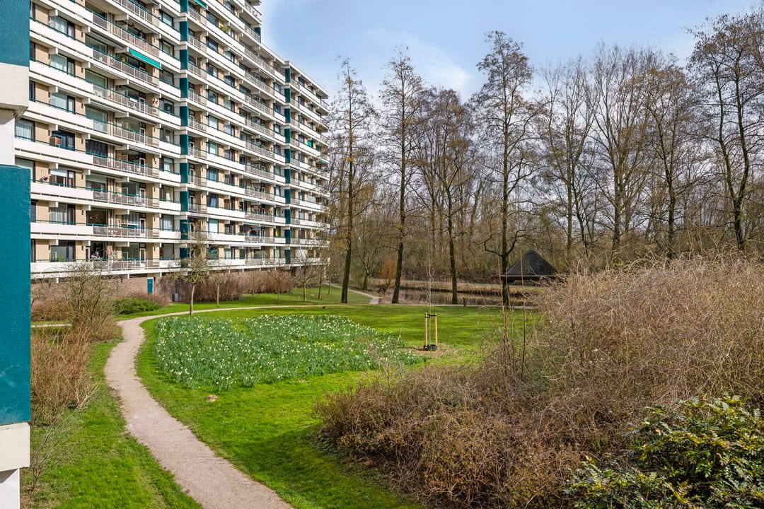 Foto 31 van Groningensingel 861