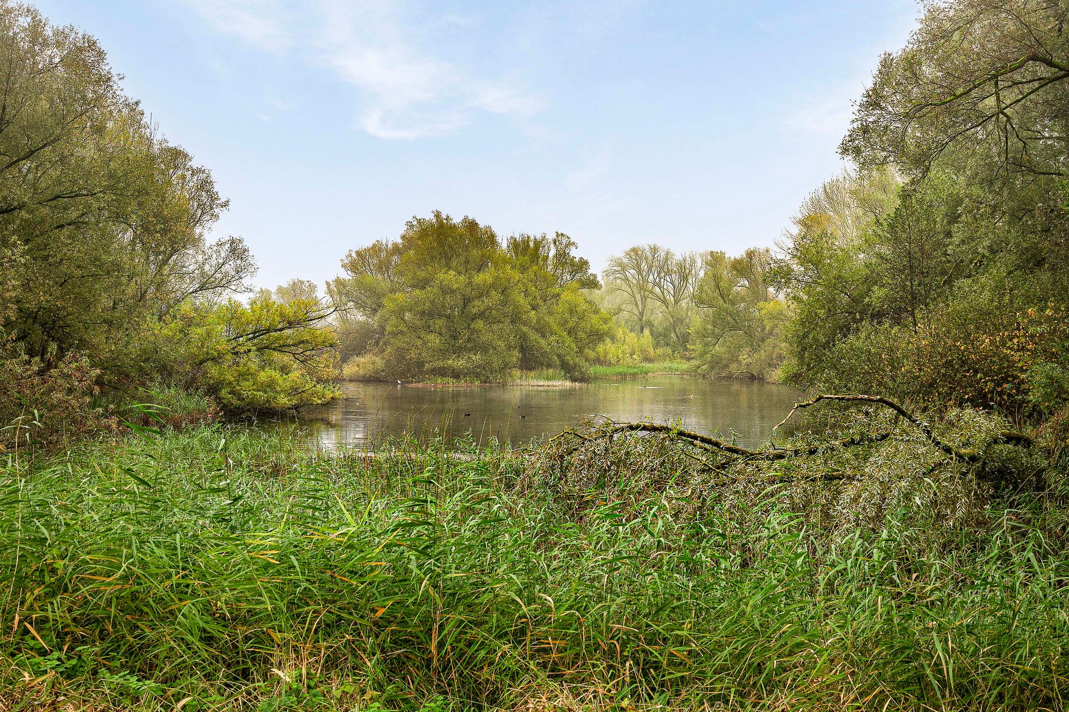 Foto 33 van Groningensingel 861