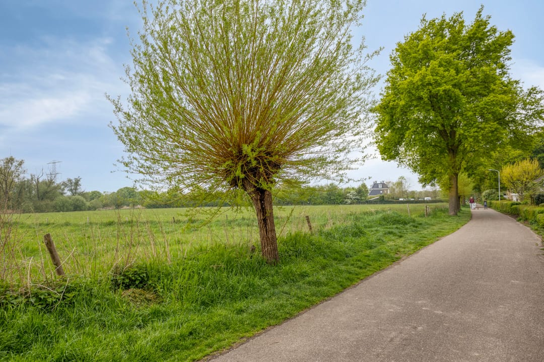 Foto 31 van Abersland 3225