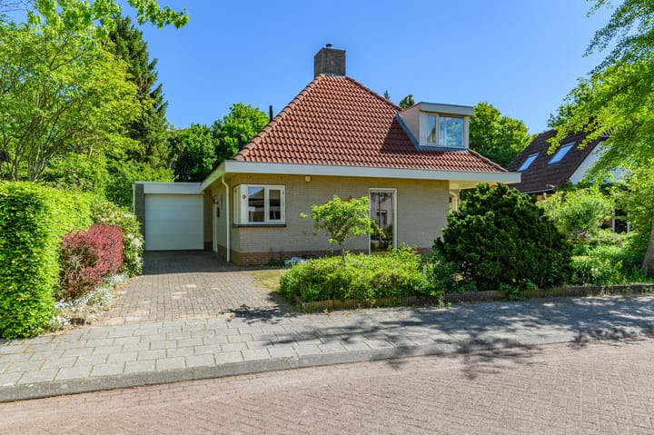 Foto 3 van De wanne 9