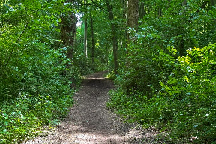 Foto 48 van Lekdijk 44