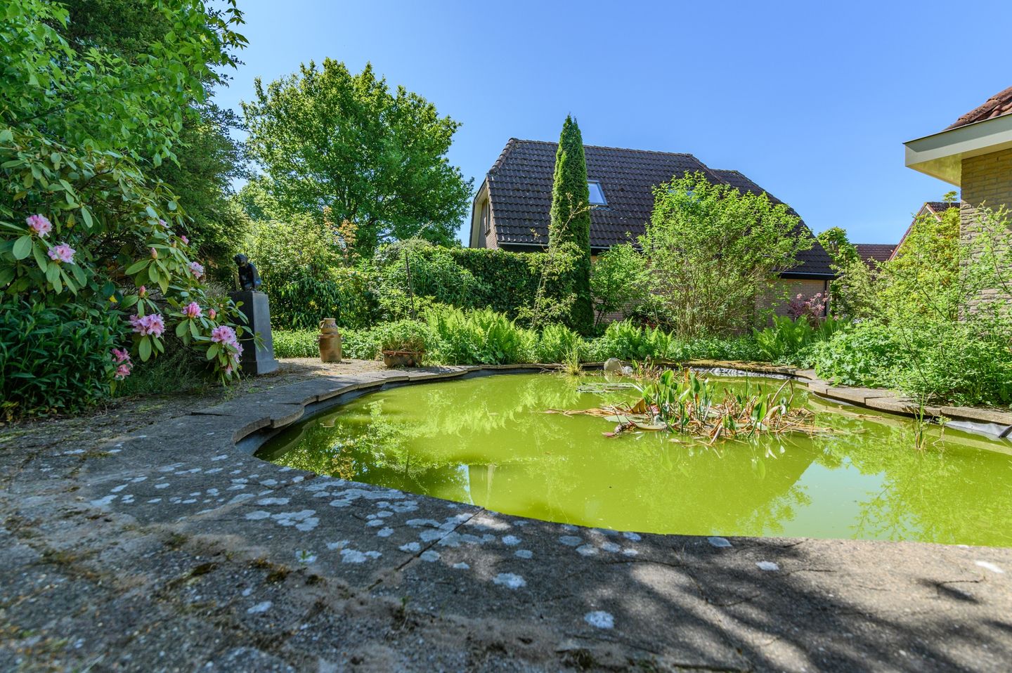 Photo 35 of De wanne 9