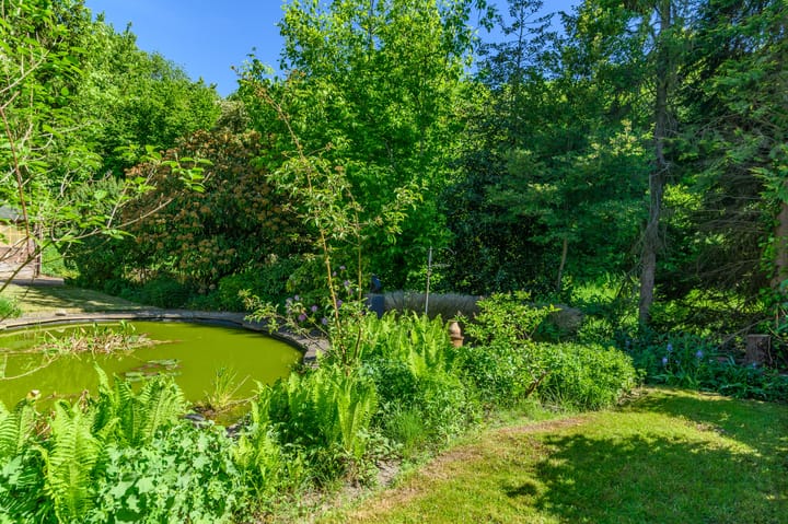 Foto 39 van De wanne 9