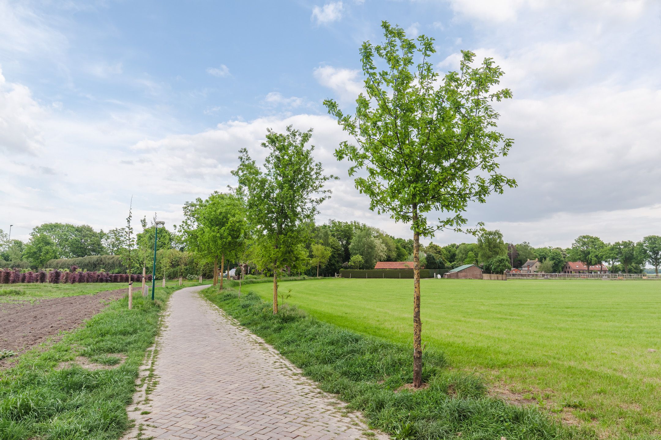 Photo 45 of Sint Annastraat 7