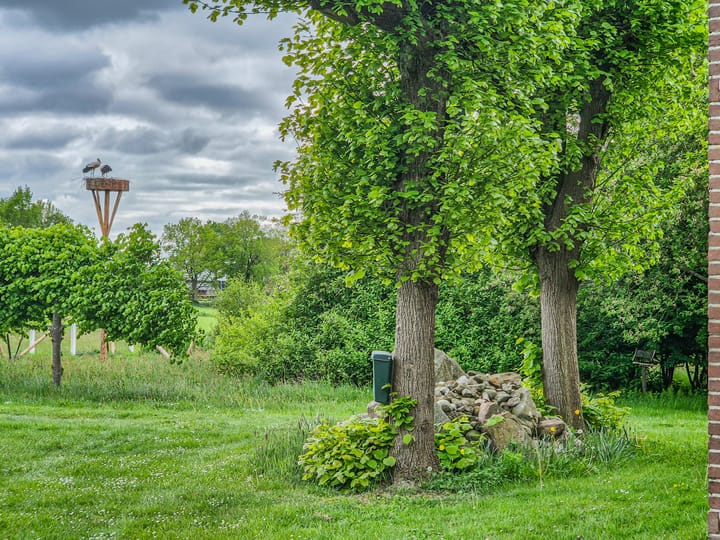 Foto 25 van Kolderveense Bovenboer 36