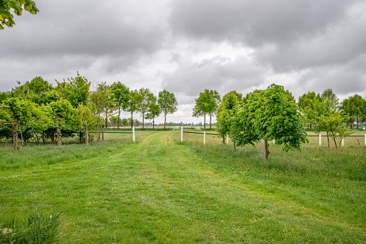 Foto 26 van Kolderveense Bovenboer 36