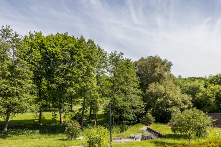 Photo 35 of Mr dr Froweinweg 34