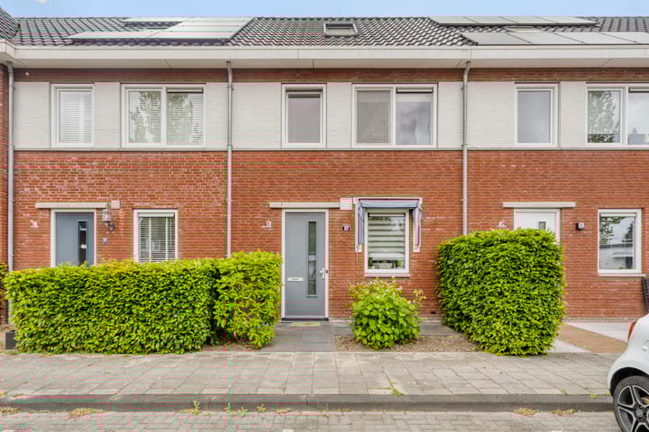 Foto 1 van Iepenblad 10