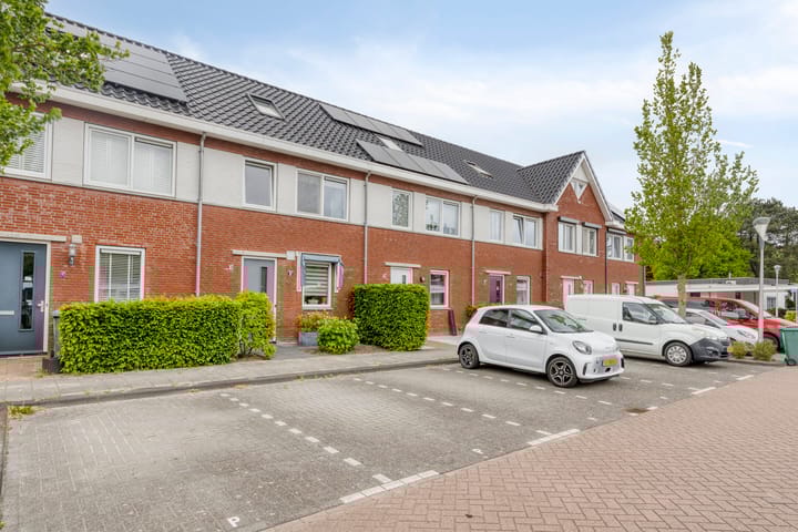 Foto 6 van Iepenblad 10