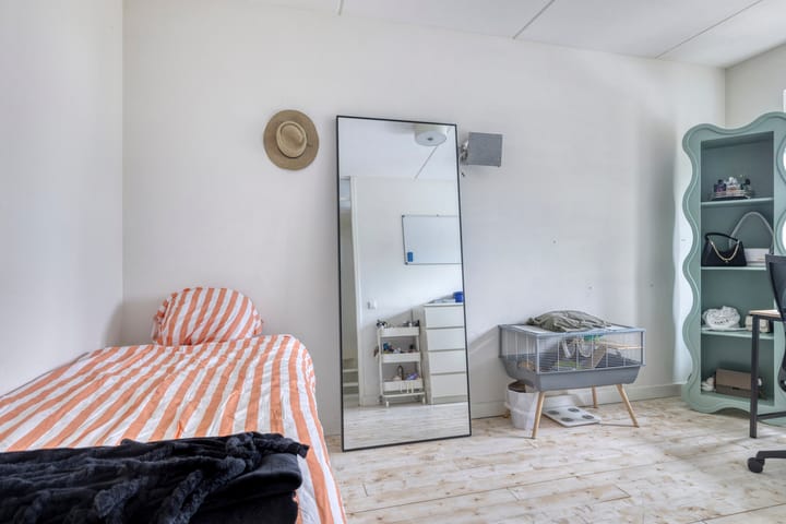 Foto 16 van Iepenblad 10