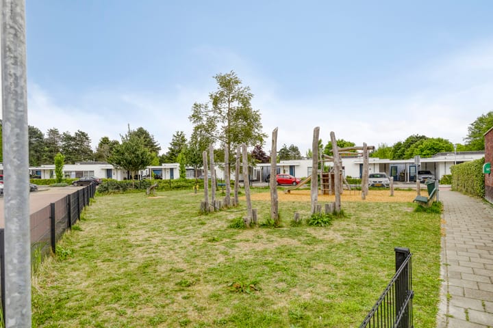 Foto 31 van Iepenblad 10