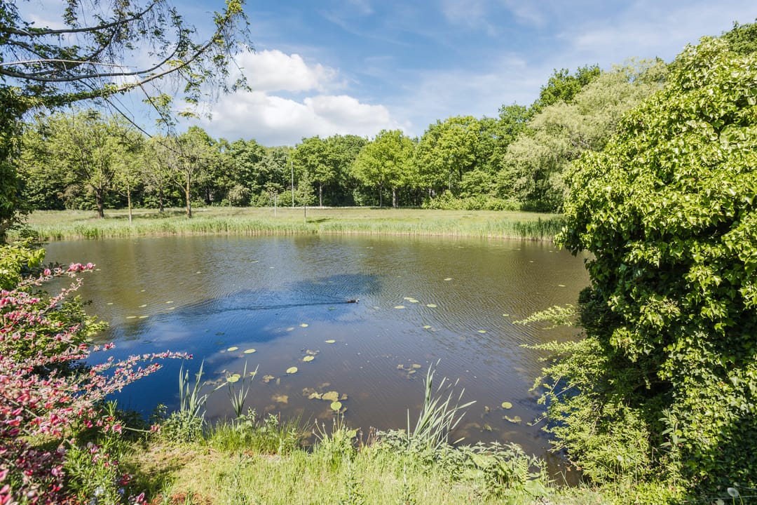 Foto 47 van Vlaskamp 18