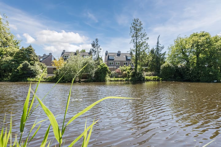 Photo 49 of Vlaskamp 18