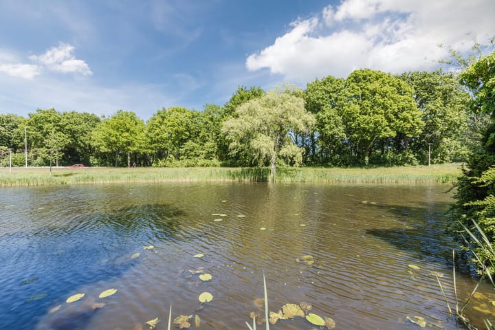 Photo 48 of Vlaskamp 18