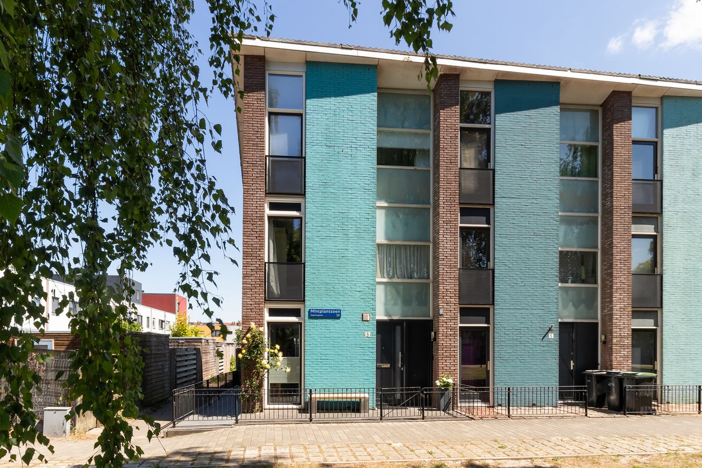 Foto 1 van Mintplantsoen 3