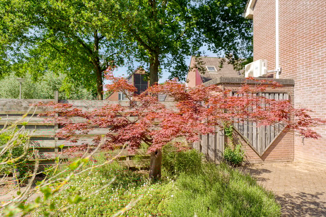 Foto 28 van Bastertkamp 17