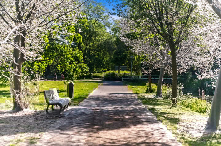 Photo 29 of Mozartlaan 330