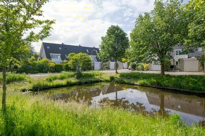 Foto 4 van Abel Tasmanplantsoen 13