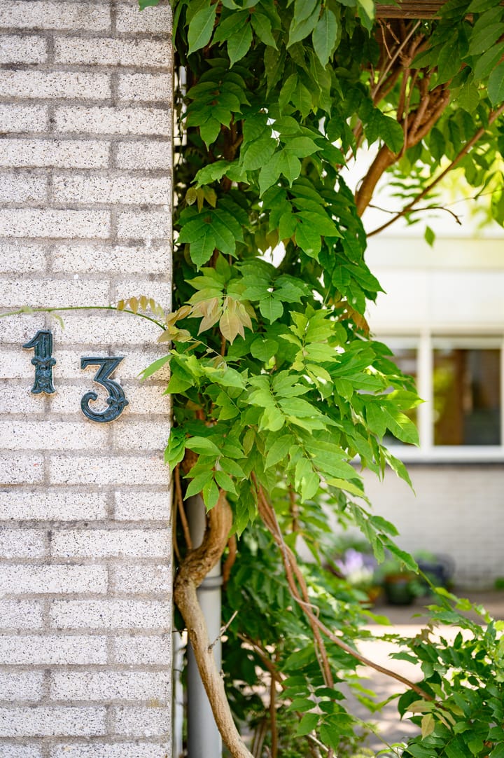 Foto 9 van Abel Tasmanplantsoen 13