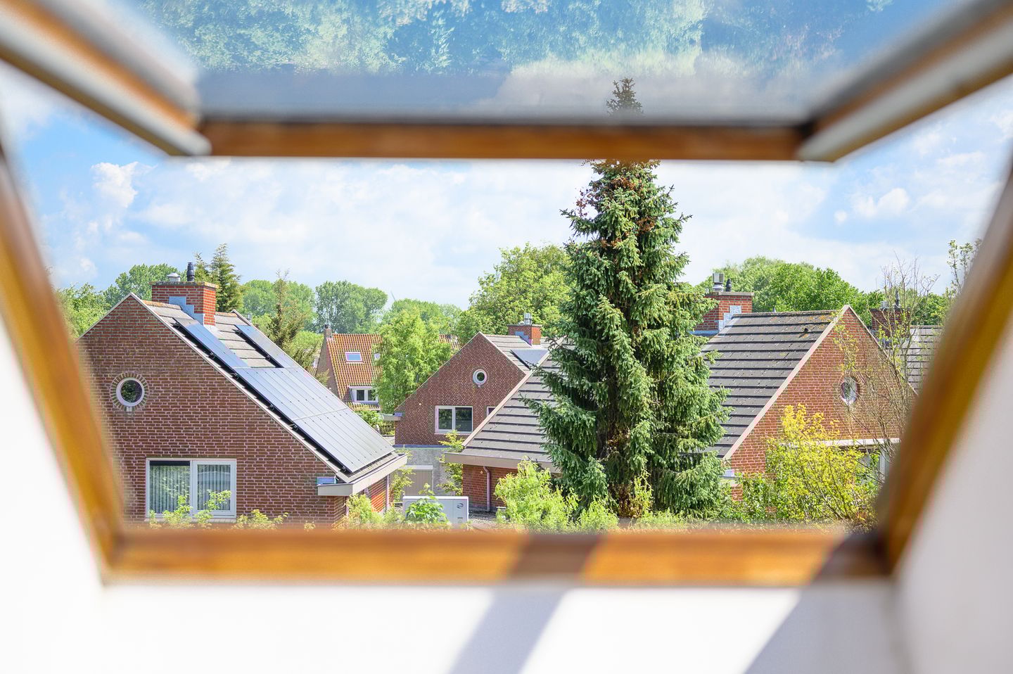 Foto 44 van Abel Tasmanplantsoen 13