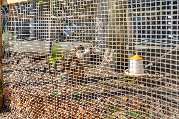 Foto 42 van Zwaanshals 222