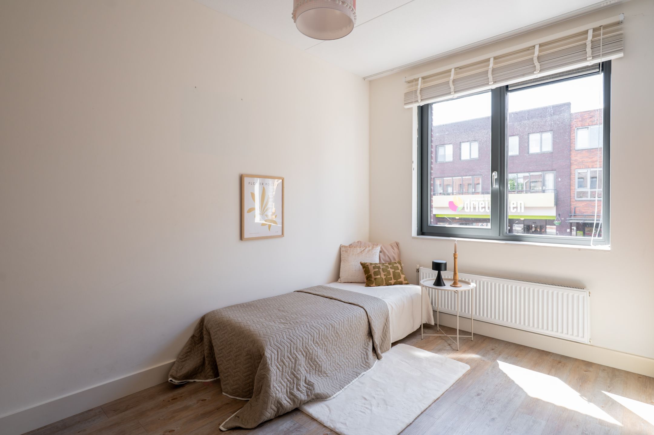 Photo 24 of Triasgracht 3